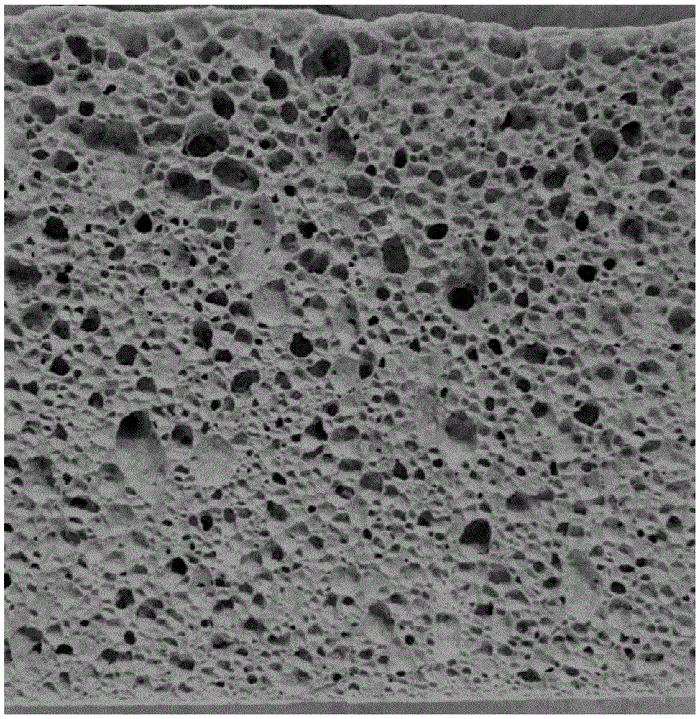 怎么區(qū)分發(fā)泡陶瓷好壞圖解