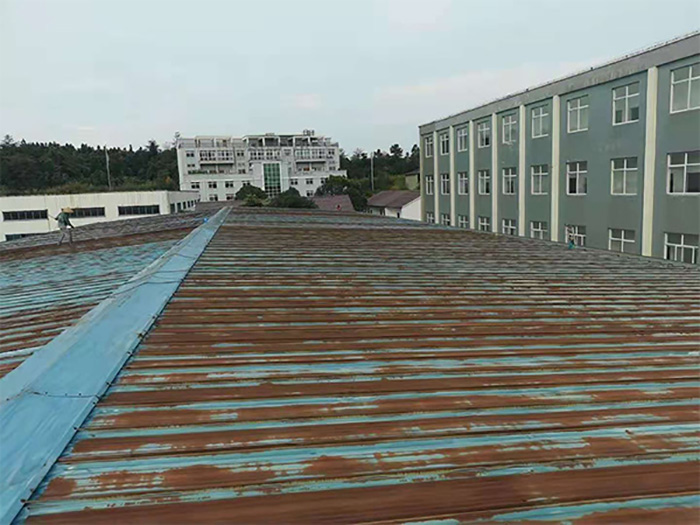 彩鋼屋面翻新專用防水涂料：保護(hù)與裝飾的完美結(jié)合